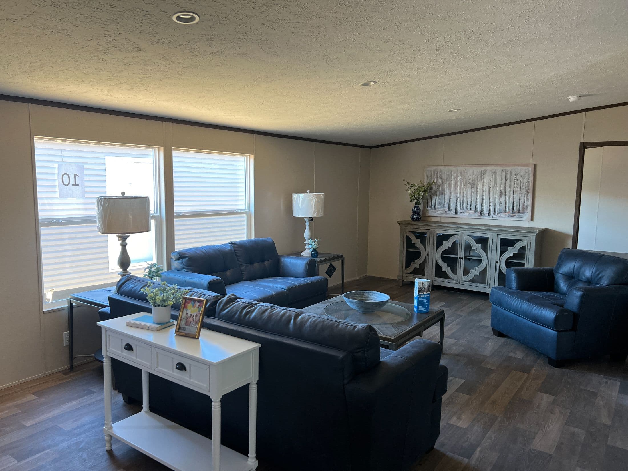 Triumph  home features